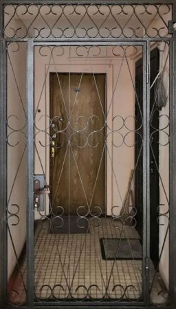 Входная Решетчатая дверь №6 — 1 фото